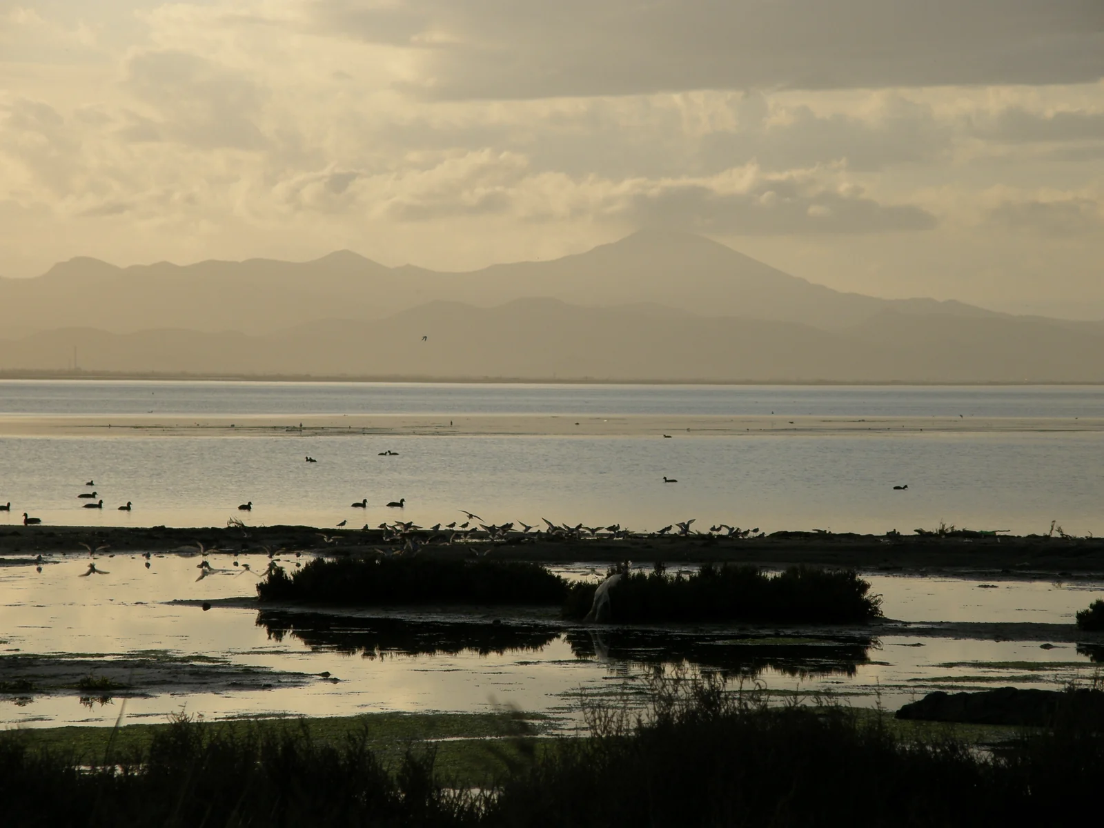 Nador Mar Chica lagoon and nearby regions